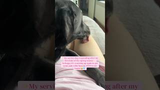 first faint of the szn tks Simon for having my back #pots #disabilityawareness #faint #servicedog