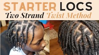 Starter Locs on Short Hair Two Strand Twist by Brittany Coriece 4,568 views 3 years ago 5 minutes, 29 seconds