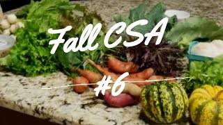 Fall CSA #6