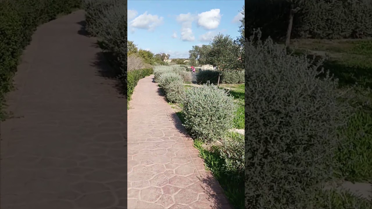 Nature in Malta # green shrubs bushes walking path - Best how to tour