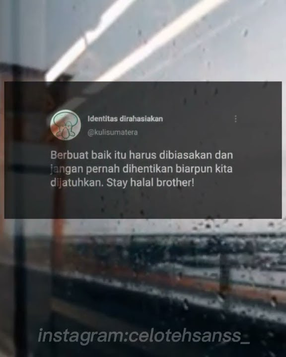 StoryWA,Stay halal brother