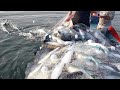 Awesome Longline Net Fishing - Big Net Fishing on The Sea