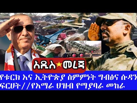 ቪዲዮ: የቱርክ አካባቢ፣ ህዝቡ፣ አካባቢ እና ታሪክ