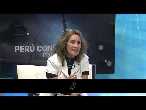 Rumbo Minero - FEB 22 - 4/4 - EL PROBLEMA CRÓNICO DE LAS VÍAS EN EL PERÚ | Willax