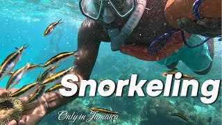 SNORKELING, JAMAICA no problem!