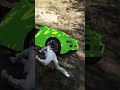 Cosas Que Hacer en GTA 5 #gta5 #gta #shorts #gtav