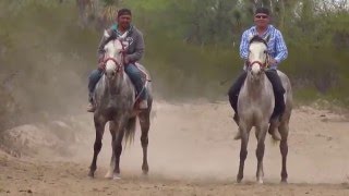 Carreras de Caballos | "El Cadete" Grupo Laberinto chords