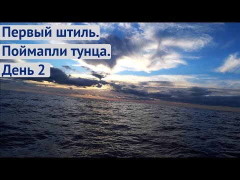 Caught a tuna, got caught in a calm. Transatlantic Day 2 | Life on the Cupiditas yacht