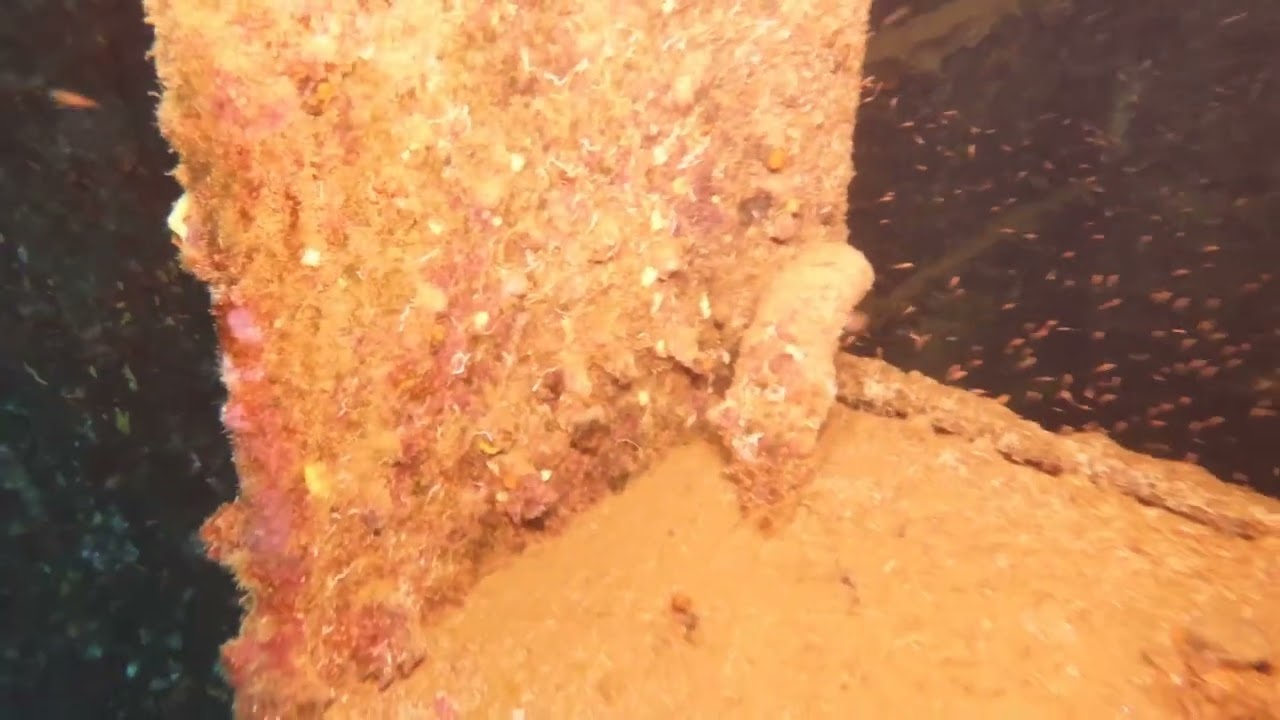 bonaire noviembre de 2025 