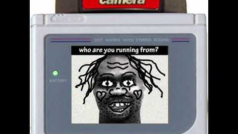 Hidden Gameboy Camera Error Screen