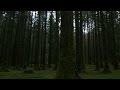 Eco Eye 13 - Ep 3: 'Forestry'