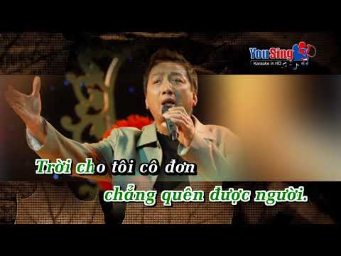 Trái Tim Cô Đơn - Trường Vũ (Karaoke)