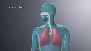 mechanisms of action