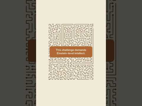 Amaze Go Level 241-242-243-244-245-246-247-248-249-250