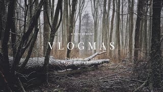 A very gentle vlogmas — December 21, 2021