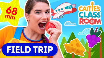 Over 1 hour of field trips with Ms Caitie! | Super Simple Play