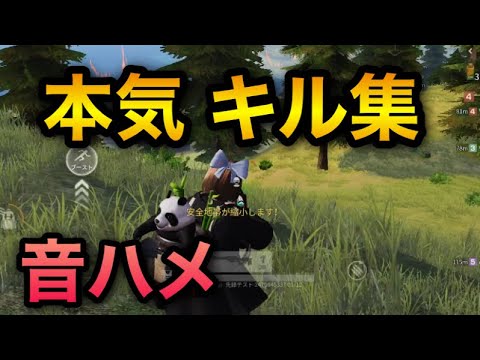 【荒野行動】SR 本気のキル集(音ハメ)