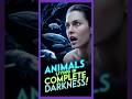 亞 Animals Living In Complete Darkness Animals Facts Wildlife 亞 Animals Living In Complete Darkness Animals Facts Wildlife