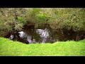 |4k| Shannon Pot | Eat the forbidden fruit | Glangevlin County Cavan Ireland