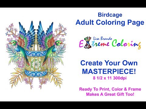 birdcage-coloring-page-color-combinations-how-to-color-bird-wings-lisa-brando-extreme-coloring