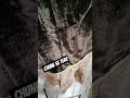 #song #youtubeshorts #video #chauhan #chune se tere