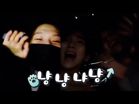 [<strong>VLIVE</strong>] SHINee - 샤이니 좋아서 여기가 천국인지 지상인지 도코데스카🎶🐾 (SHINee singing a Japanese children&amp;#39;s <strong>song</strong>)