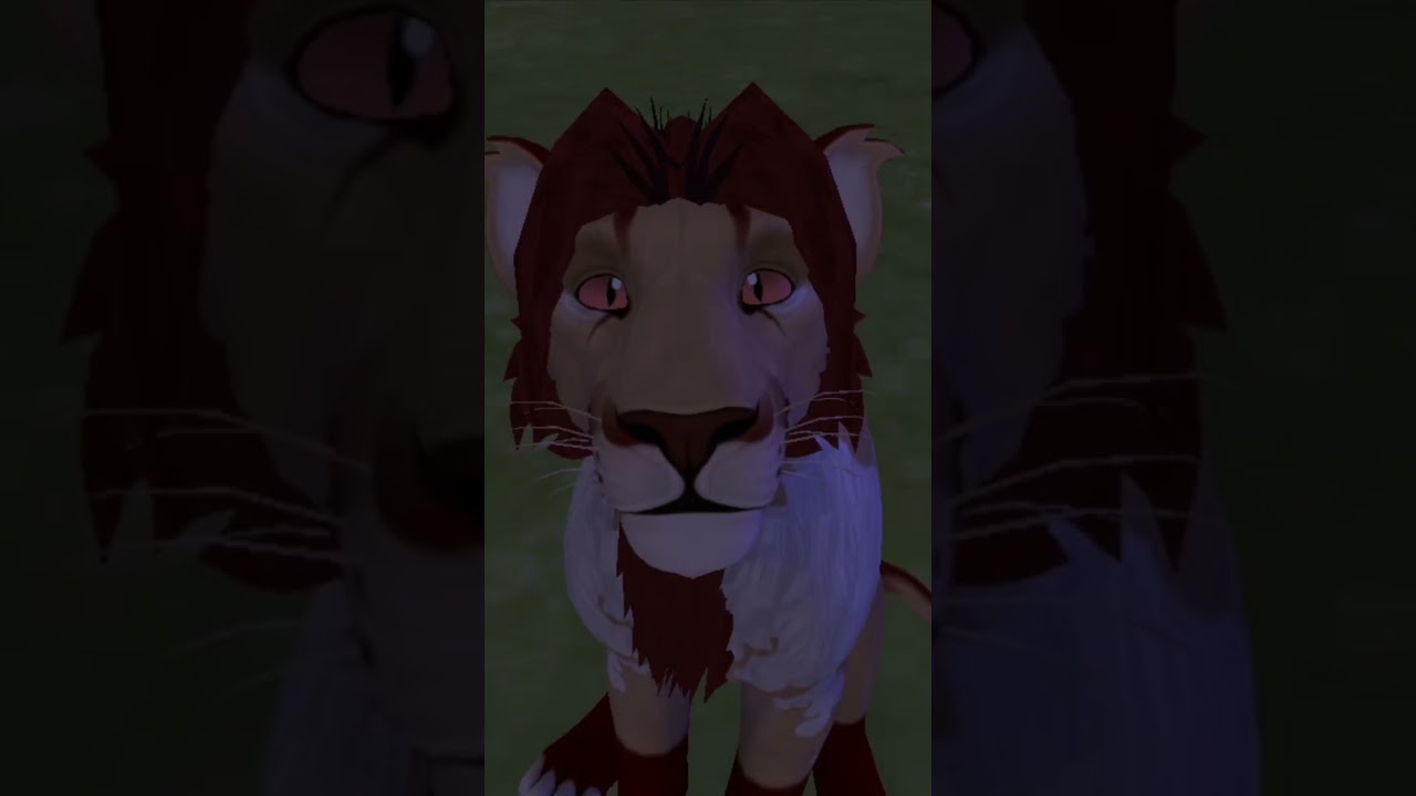 prolonged, work in progress, eye contact. 