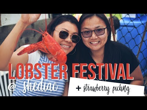Video: Cara Makan Lobster Di New Brunswick, Kanada - Matador Network