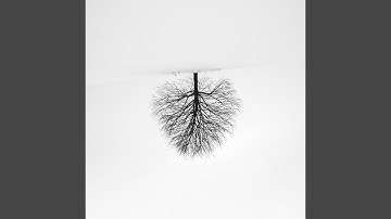 Nebo (What Your Sign?)