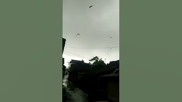 Atap terbang‼ puting beliung #shorts #viral #temanggung #anginkencang