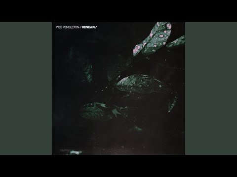 Suite Dreams Video