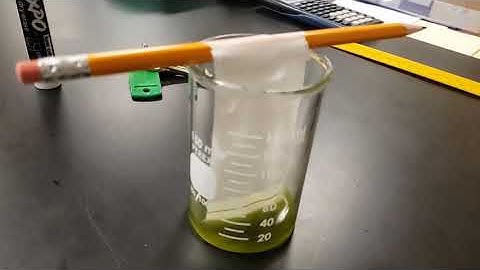 Lab Video #6: Paper Chromatography