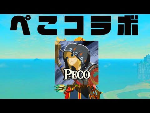 Pecoちゃんと2人で1つのコントローラー酔っ払い縛りプレイ