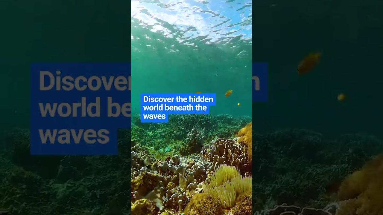 Enrich Your Faith Through Multicultural Fellowship