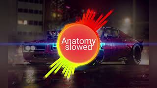 ANATOMY SLOWED!NEW TRENDING BACKGROUND MUSIC 🎶🎵