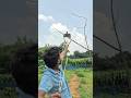 Another bird Hunting 😀 #viral #birds