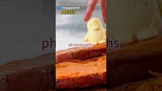 Mega--C45558--yg_zg100