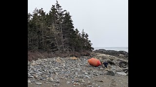 Look what we Found Beach Combing on an Island.