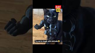 Funny Animal Videos Day 83 Epic Funniest Animals Moments