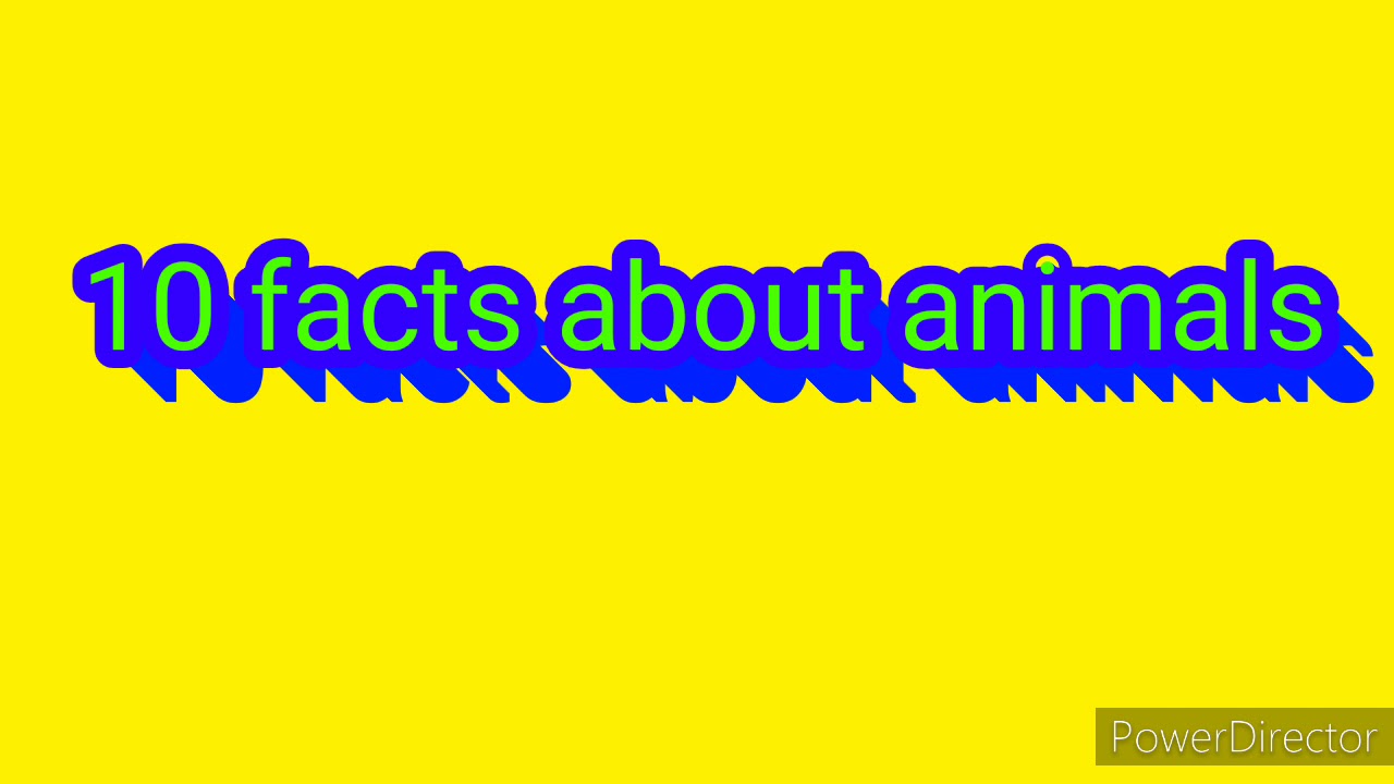 10 Facts About Animals YouTube