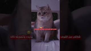 ستوريات عن الصديق ستوري انستا فيس حالات واتساب 😂🤦‍♂️