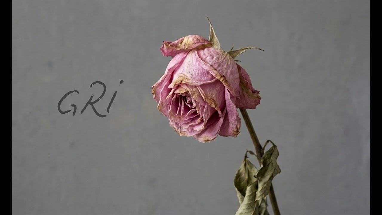 Seyit Rıza Keklik - Gri (Official Music Video)