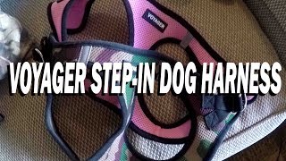 VOYAGER STEP-IN DOG HARNESS