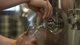 Celebrity Hazy IPA's and a new Seltzer hit the taproom! | Brew Day at Chapmans Brewing Net Worth