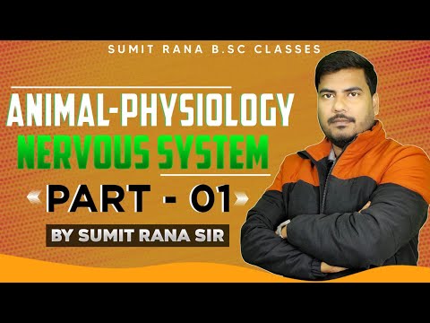 Nervous System Part-01 || Animal Physiology ||  2nd Semester || Sumit Rana Sir