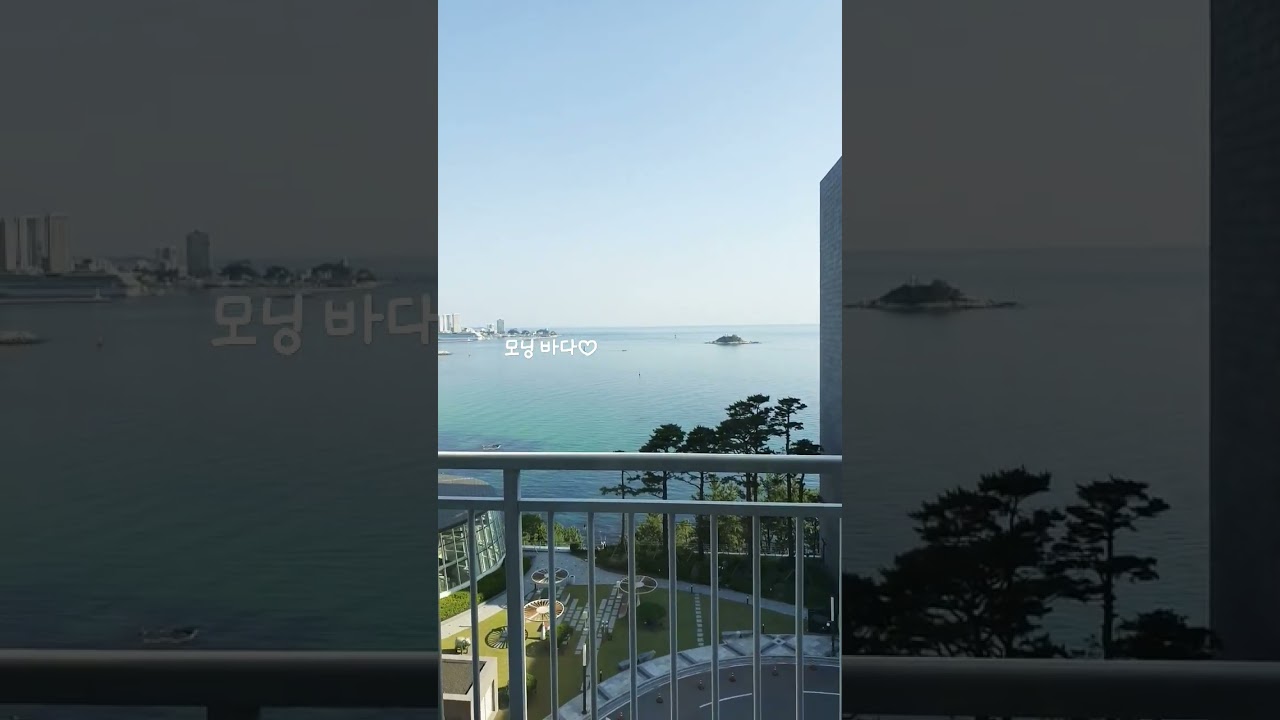 속초 롯데리조트 #shorts #강원도속초 #속초바다 #롯데리조트속초 #모닝 #여행브이로그