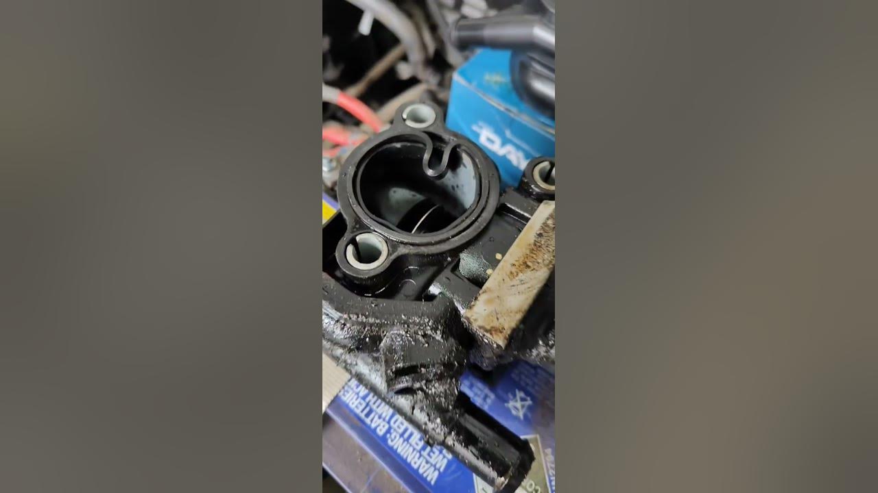 Rocker Cover Gasket leak on the Ford Focus YouTube