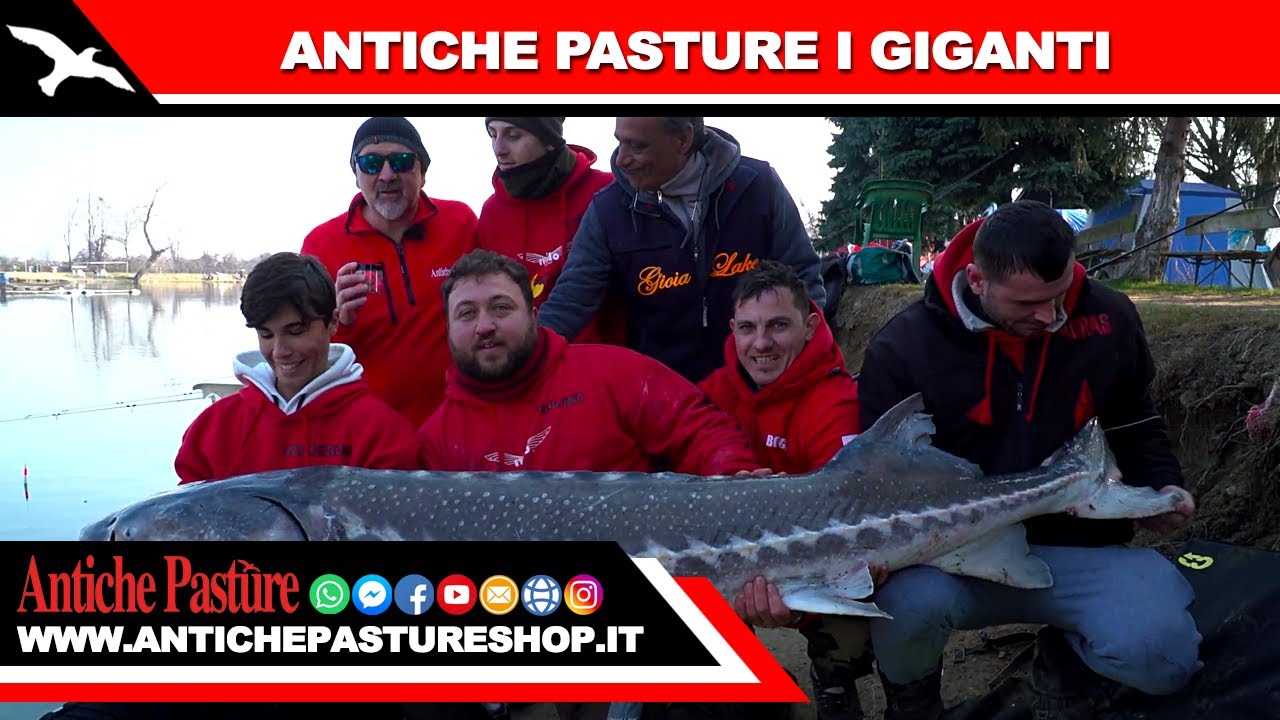 ANTICHE PASTURE - I GIGANTI DEL GIOIA LAKE