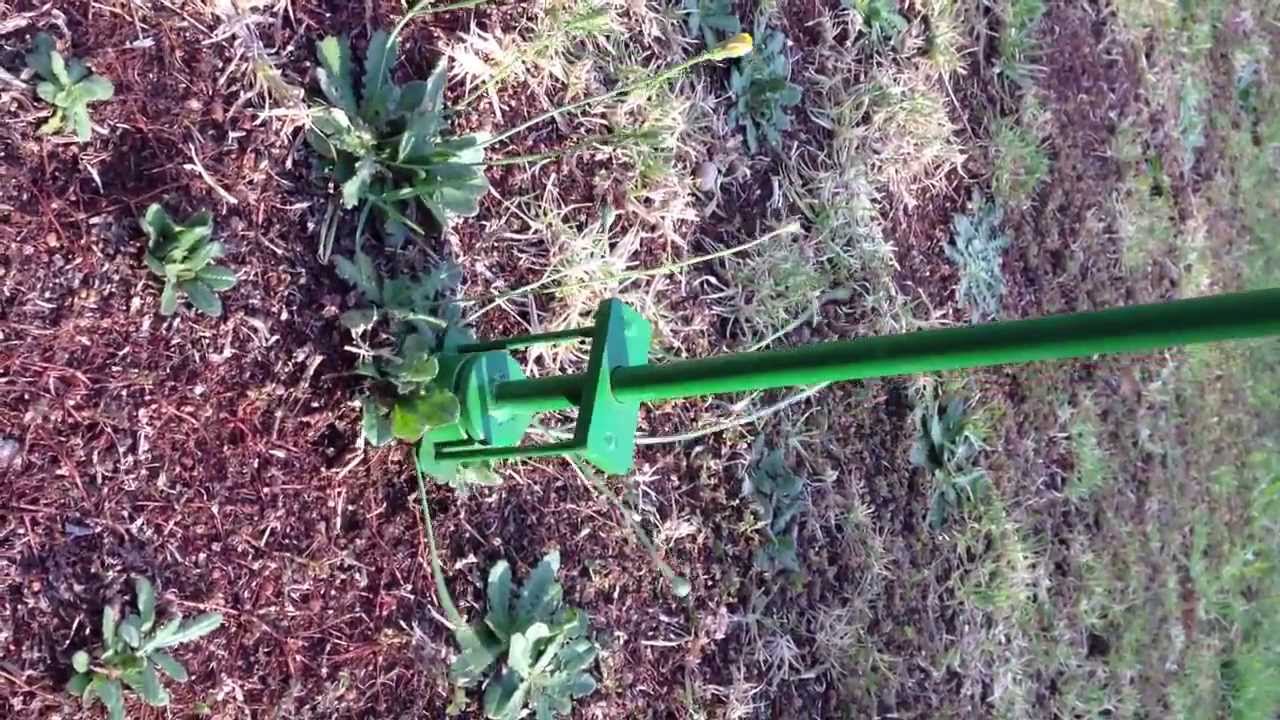 diy weed removal tool