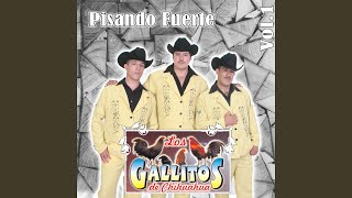 Agapito Casanova